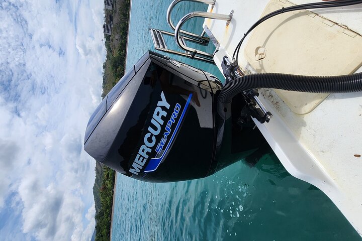 Tortuga Island Private Full-Day Boat Tour