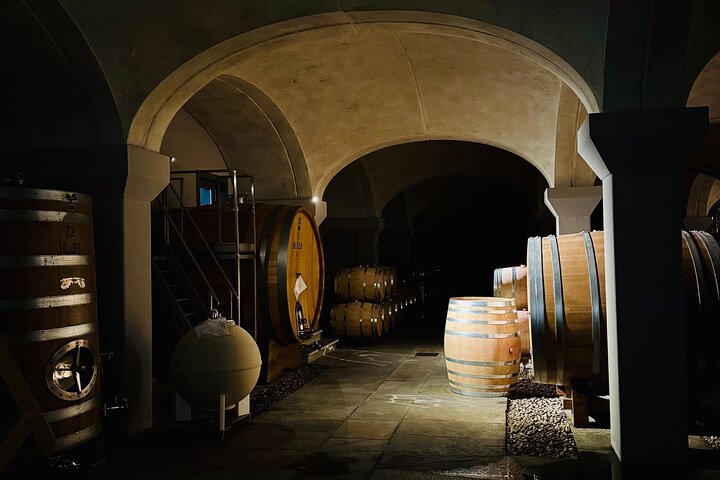 Taste Barolo and Barbaresco with a Sommelier. Piemonte Wine Tour