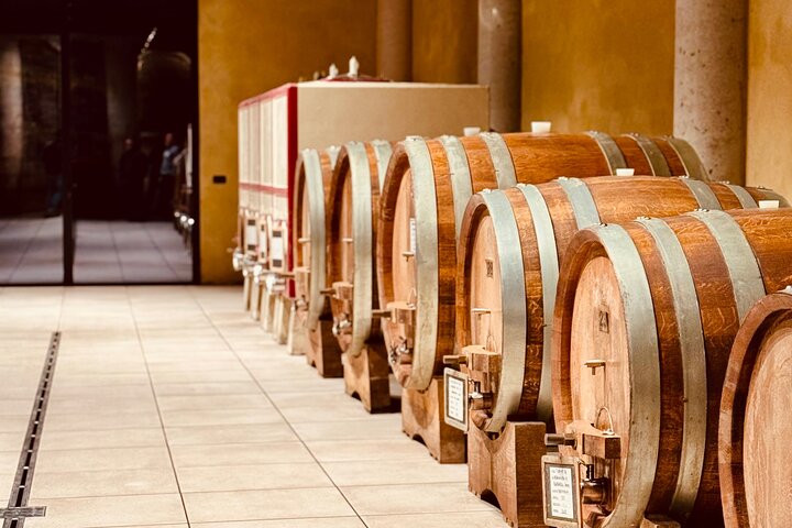 Taste Barolo and Barbaresco with a Sommelier. Piemonte Wine Tour