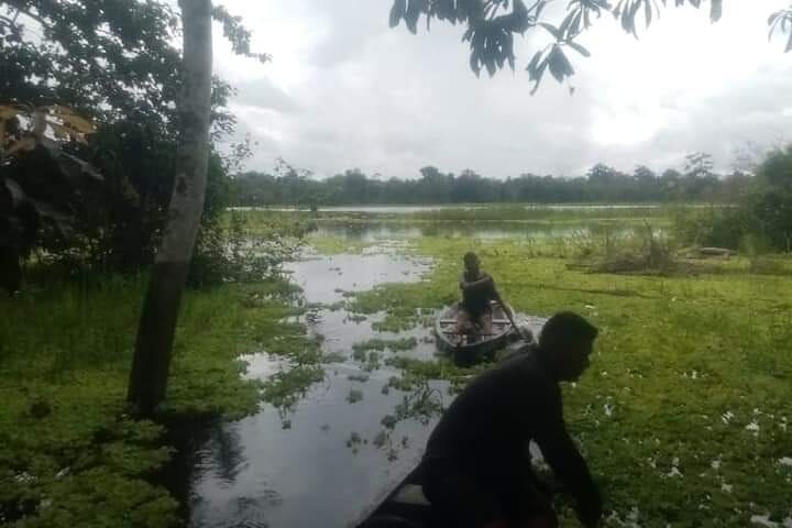 Canoeing in The Amazon Rainforest