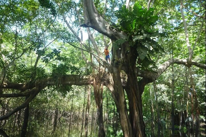 Canoeing in The Amazon Rainforest