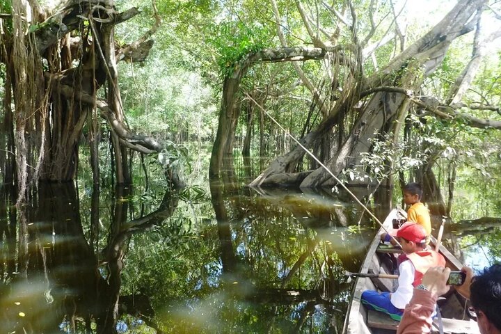 Canoeing in The Amazon Rainforest