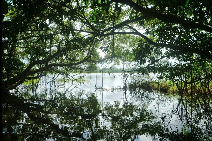 Canoeing in The Amazon Rainforest