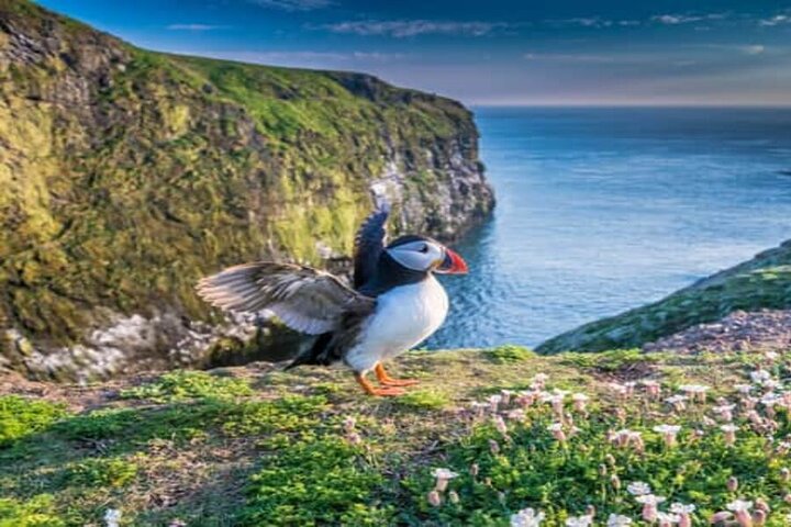 Top Of The Highlands Tour: John O' Groats, Caithness and More