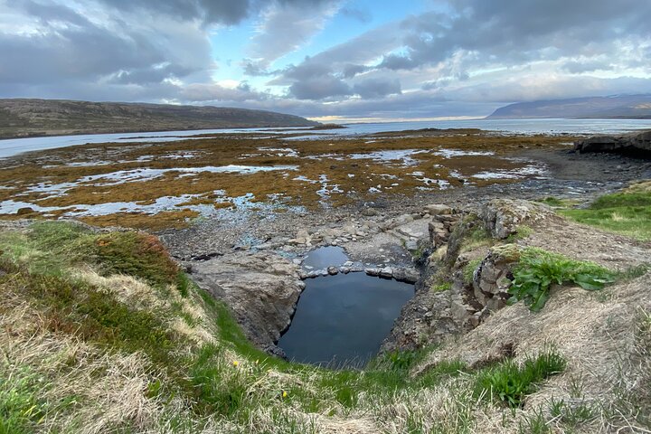 Isafjordur and Westfjords Private Tour