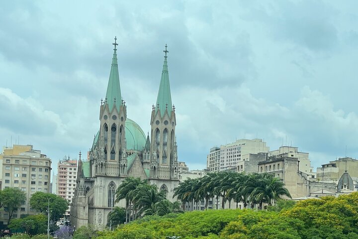 Best of São Paulo pickup Santos drop-off Sao Paulo/Hotel/Airport