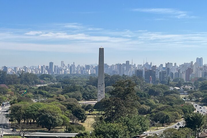 Best of São Paulo pickup Santos drop-off Sao Paulo/Hotel/Airport