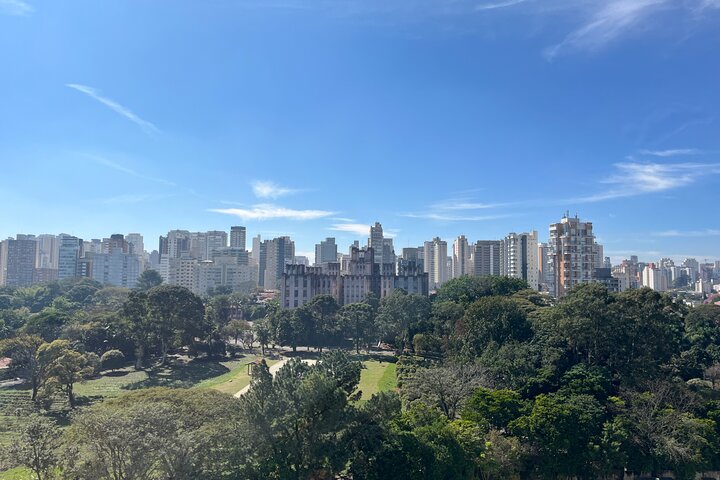 Best of São Paulo pickup Santos drop-off Sao Paulo/Hotel/Airport