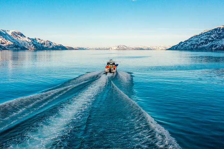 3 Hours Fishing Adventures in Alta Fjord