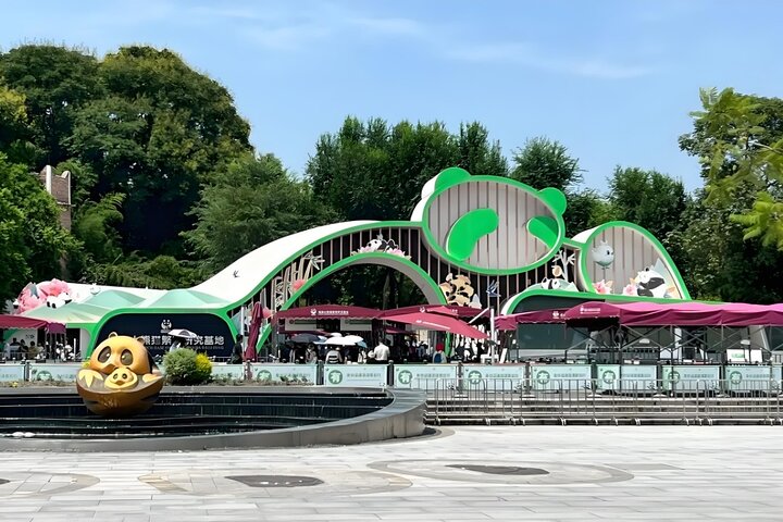 Chengdu Panda Base and Giant Buddha Tour with English Driver