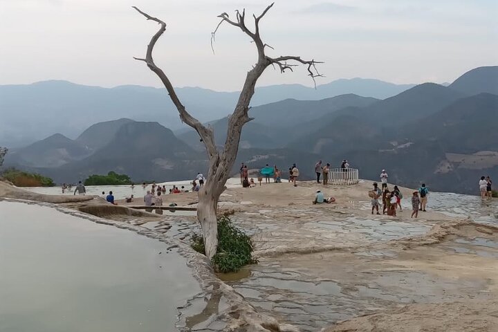 Hierve el Agua,Arbol Del Tule,Mitla,Mezcal and Teotitlan del valle