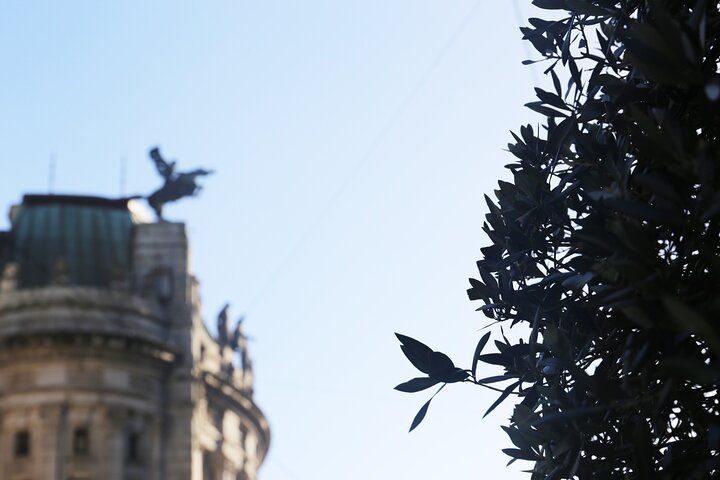 Discover Vigo: Historical and Cultural Walking Tour