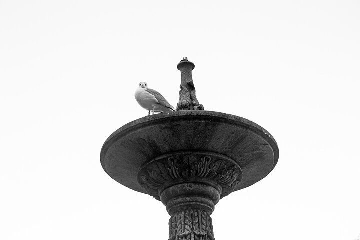 Discover Vigo: Historical and Cultural Walking Tour