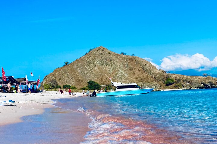 Exclusive Early Bird Komodo Tour: Beat the Crowds by Speed Boat