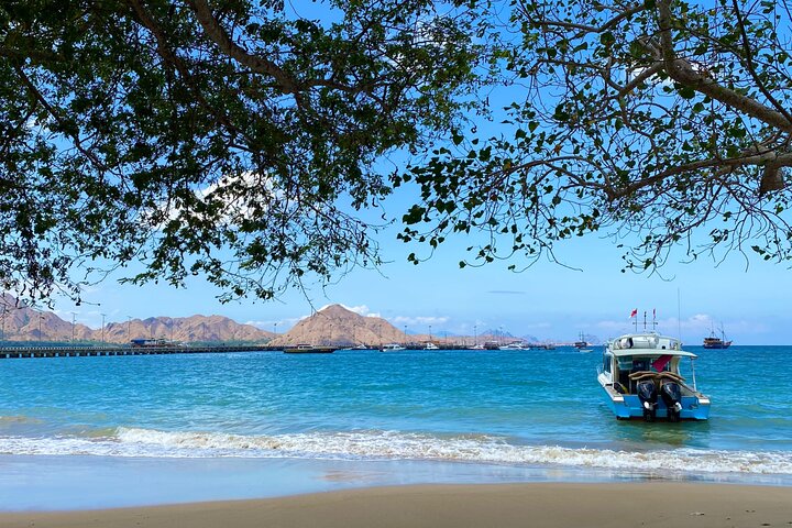 Exclusive Early Bird Komodo Tour: Beat the Crowds by Speed Boat