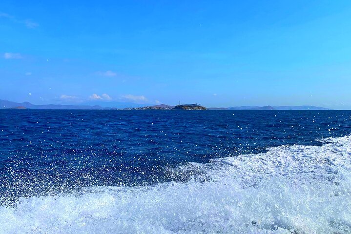 Exclusive Early Bird Komodo Tour: Beat the Crowds by Speed Boat