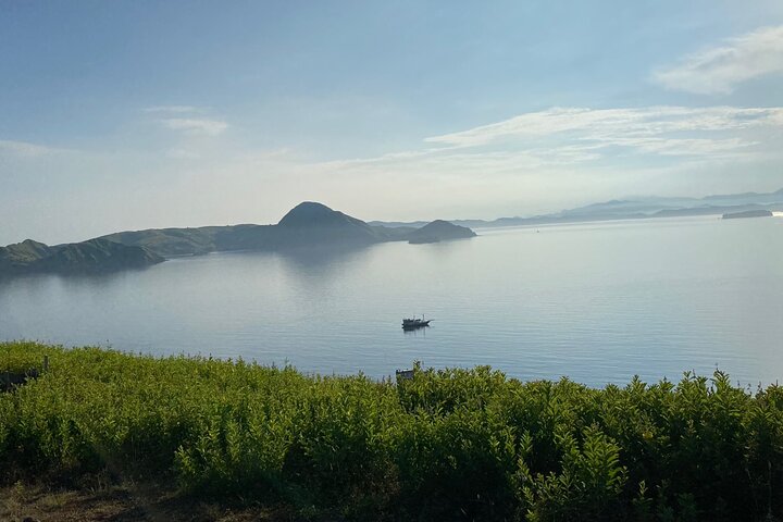 Exclusive Early Bird Komodo Tour: Beat the Crowds by Speed Boat
