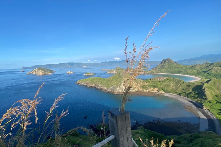 Exclusive Early Bird Komodo Tour: Beat the Crowds by Speed Boat