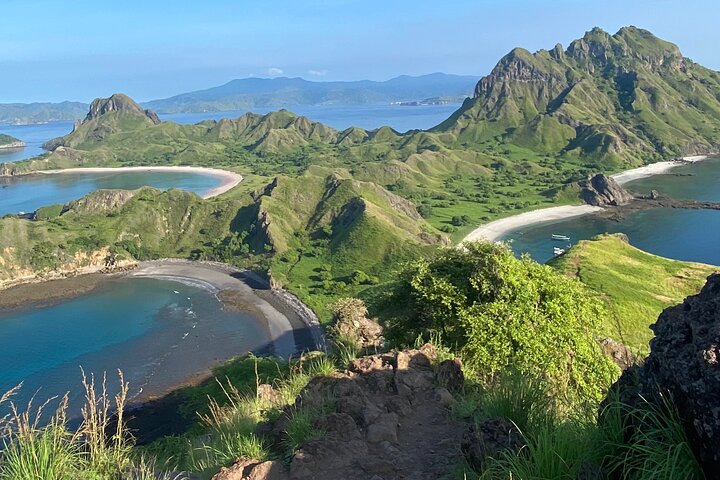 Exclusive Early Bird Komodo Tour: Beat the Crowds by Speed Boat