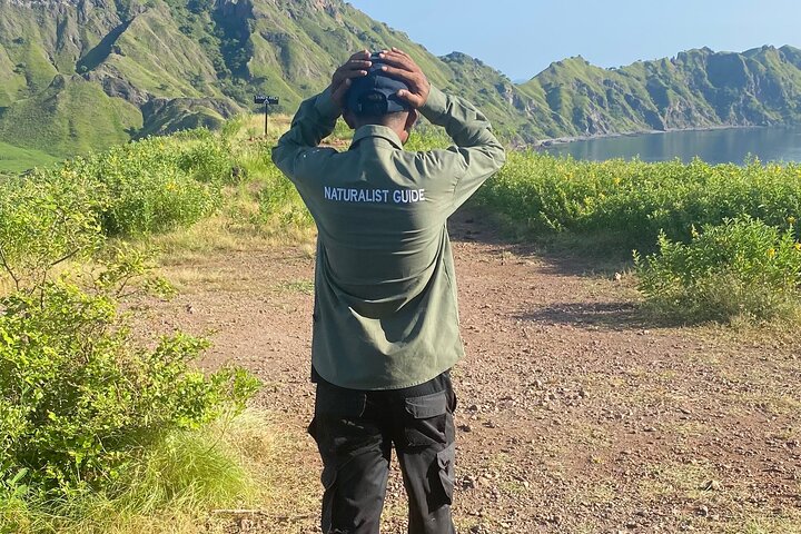 Exclusive Early Bird Komodo Tour: Beat the Crowds by Speed Boat