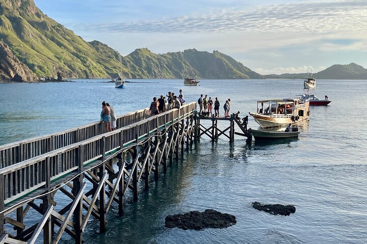 Exclusive Early Bird Komodo Tour: Beat the Crowds by Speed Boat