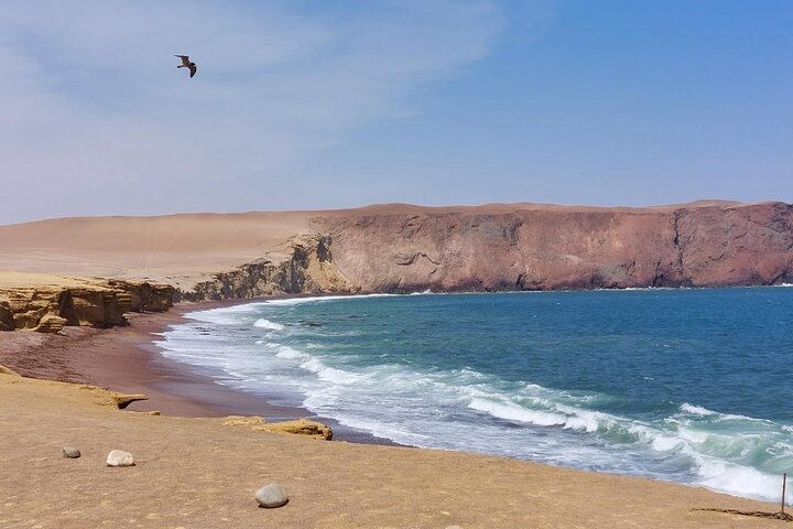 Ballestas Islands and National Reserve from San Martin Port