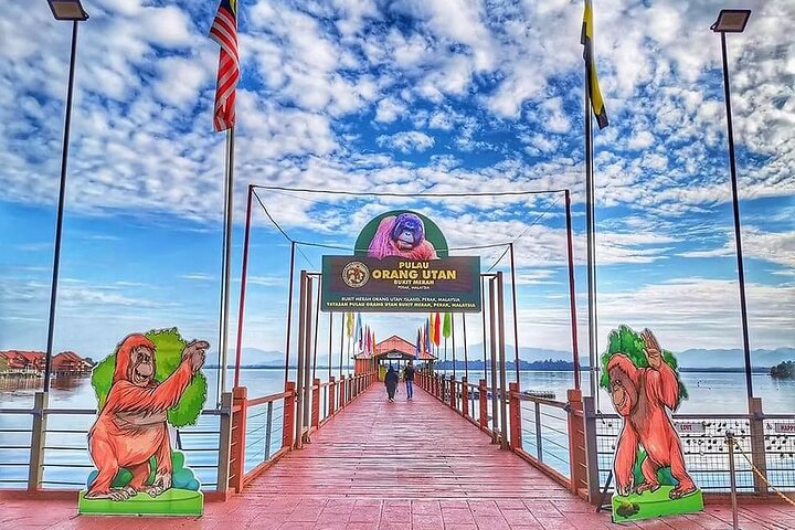 Orangutan (Orang Utan) Island Responsible Experience