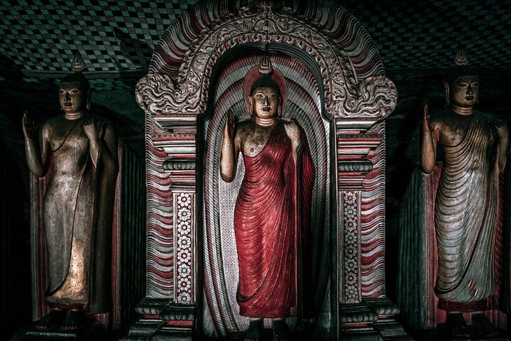 From Colombo: Sigiriya and Dambulla Day Trip and Safari