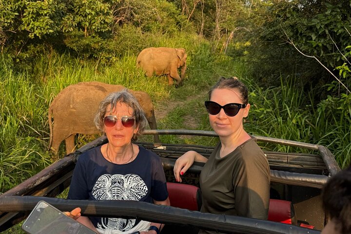 From Colombo: Sigiriya and Dambulla Day Trip and Safari