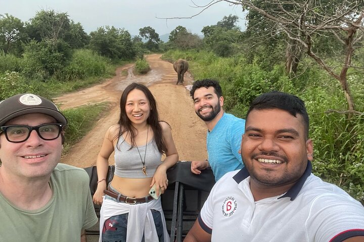 From Colombo: Sigiriya and Dambulla Day Trip and Safari
