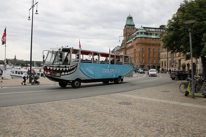 Ocean Bus - Sightseeing with a Splash