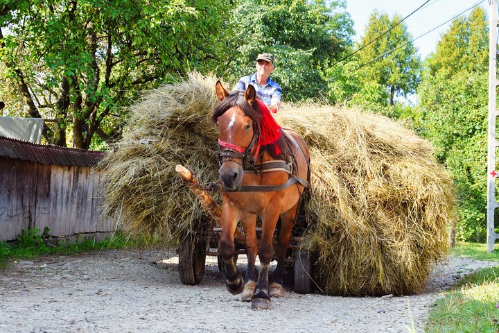 Maramures best, full day tour from Cluj