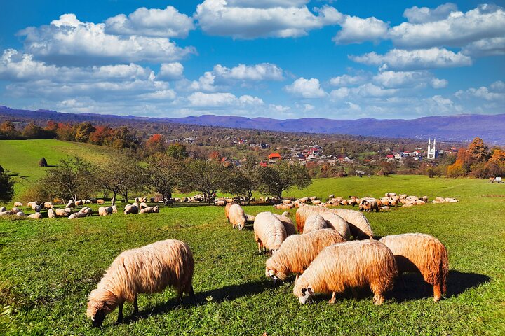 Maramures best, full day tour from Cluj