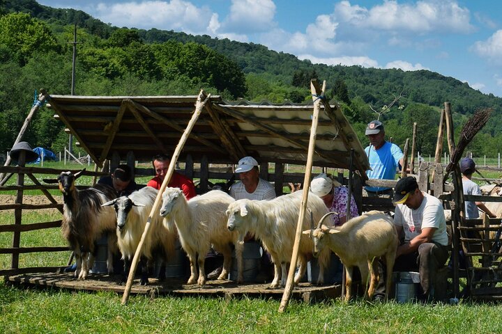 Maramures best, full day tour from Cluj