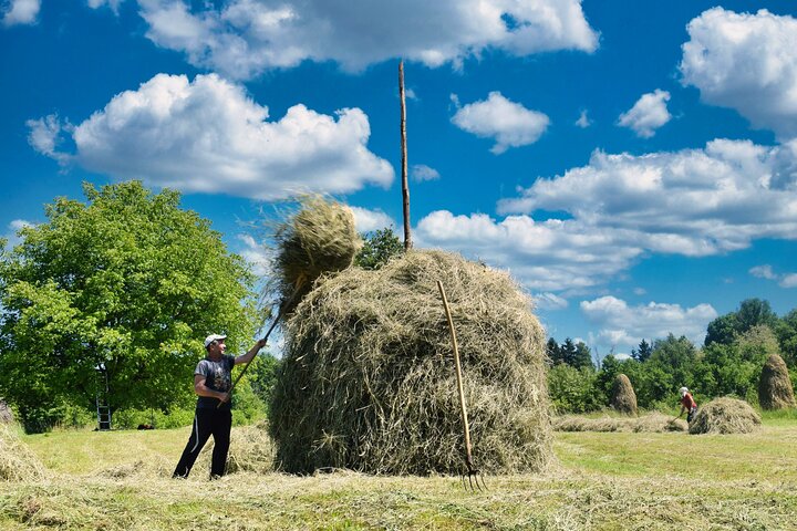 Maramures best, full day tour from Cluj
