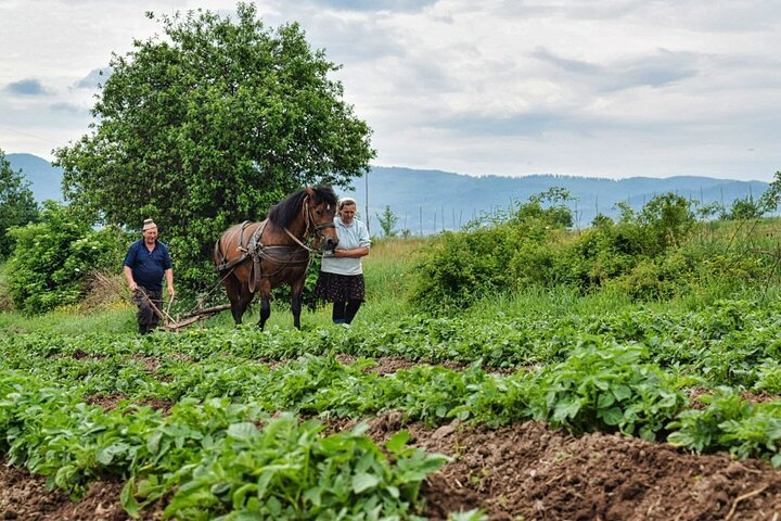 Maramures best, full day tour from Cluj