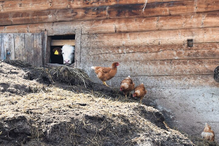 Maramures best, full day tour from Cluj