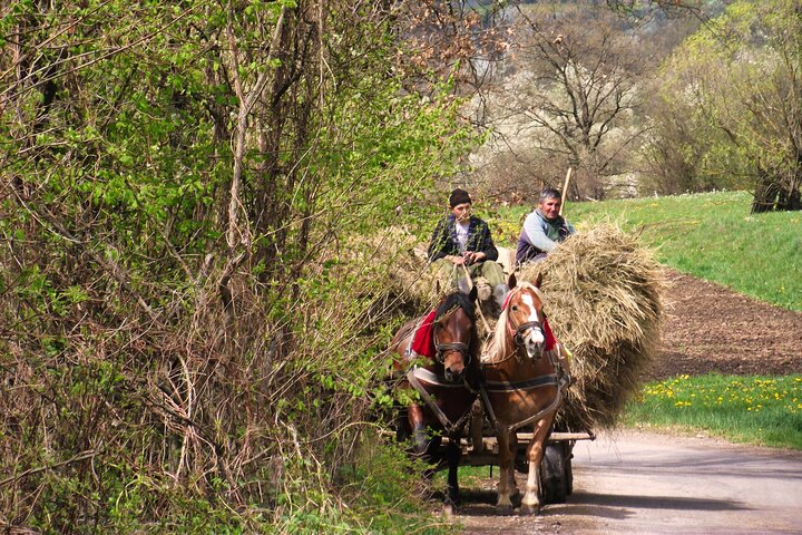 Maramures best, full day tour from Cluj