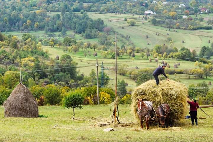 Maramures best, full day tour from Cluj