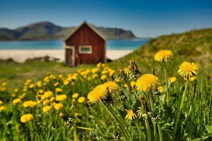 Lofoten Roadtrip Full Day Tour from Svolvaer