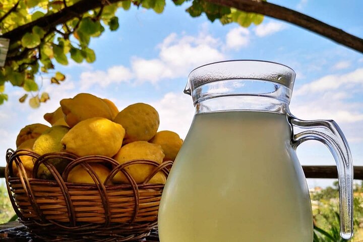 Sorrento Farm and Food Experience including Olive Oil, Limoncello, Wine tasting