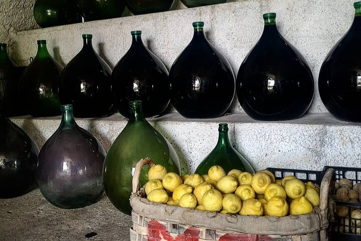 Sorrento Farm and Food Experience including Olive Oil, Limoncello, Wine tasting