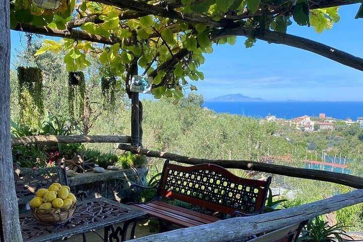 Sorrento Farm and Food Experience including Olive Oil, Limoncello, Wine tasting