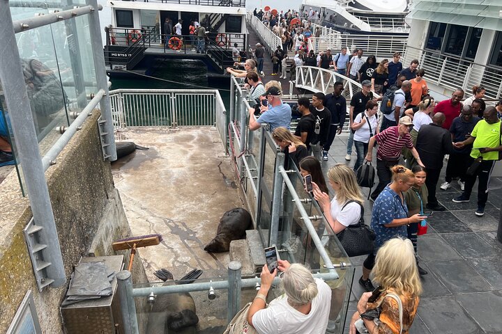 Robben Island Half-Day Tour with Ticket, Hotel Pickup & Drop-Off