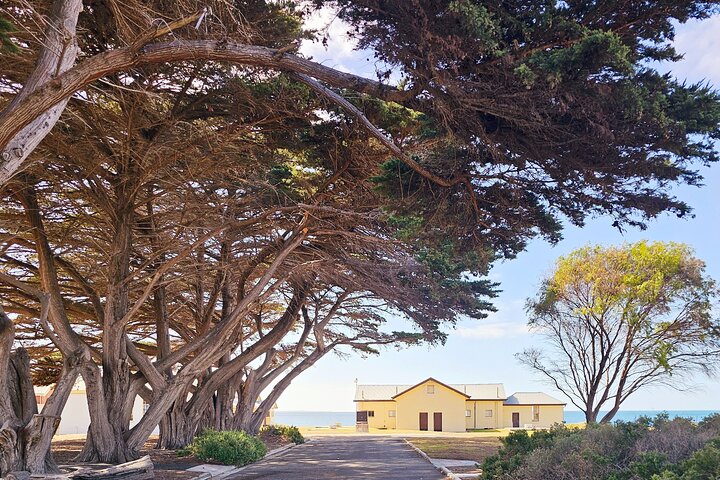 Mornington Peninsula Coastal Discovery Tour from Melbourne