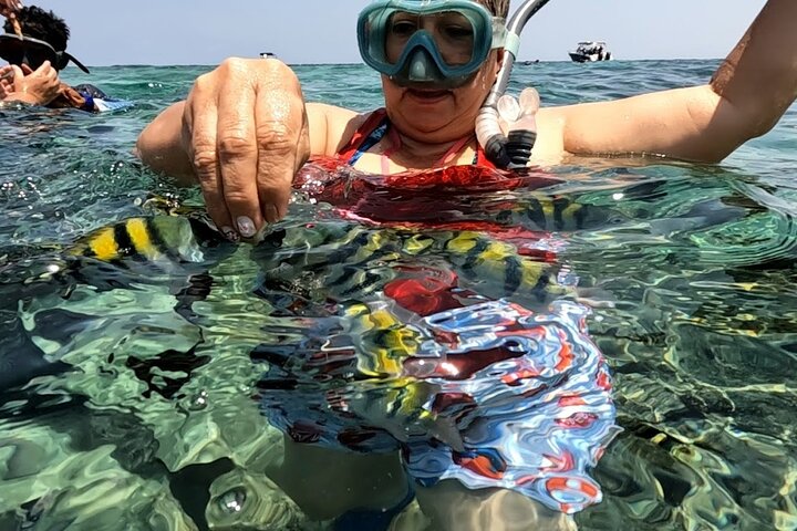 Rosario Islands and Playa Blanca Tour with Snorkeling or Aquarium