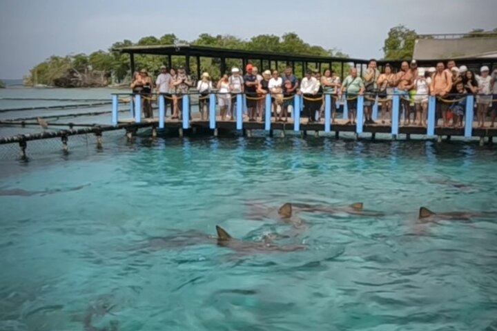Rosario Islands and Playa Blanca Tour with Snorkeling or Aquarium