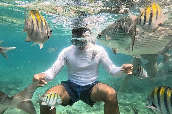 Rosario Islands and Playa Blanca Tour with Snorkeling or Aquarium