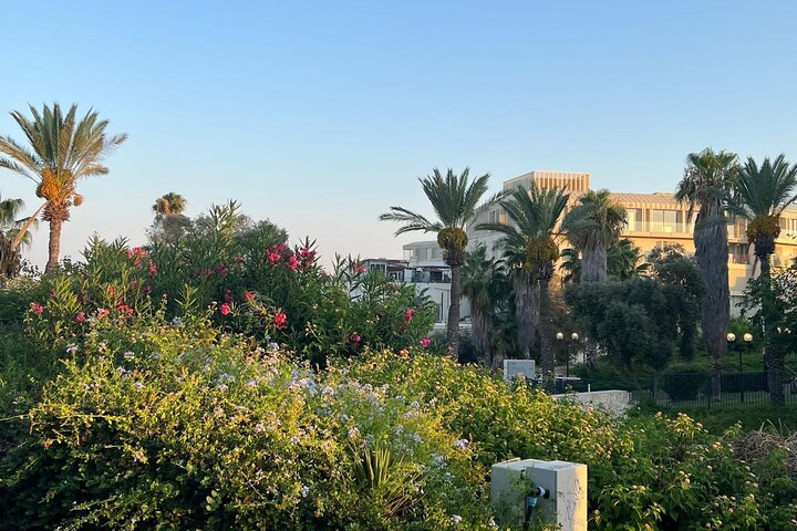 Tel Aviv: Highlights of Central Tel Aviv Walking Tour