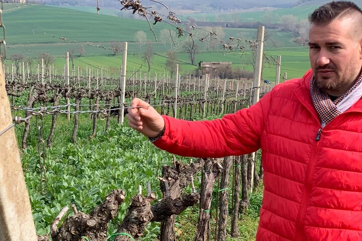 Wine and olive oil tastings with the locals